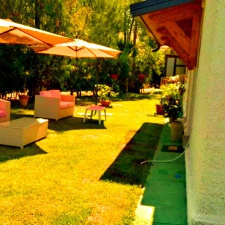 La Corte Delle Rose B&B Praia a Mare Exterior photo