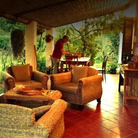 La Corte Delle Rose B&B Praia a Mare Exterior photo