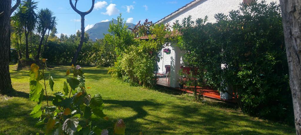 La Corte Delle Rose B&B Praia a Mare Exterior photo