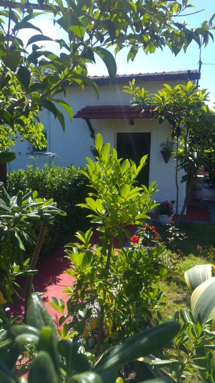 La Corte Delle Rose B&B Praia a Mare Exterior photo