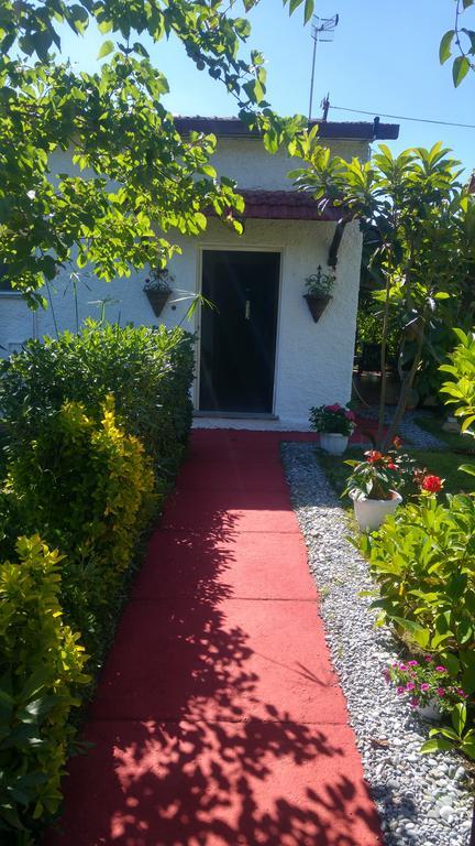 La Corte Delle Rose B&B Praia a Mare Exterior photo