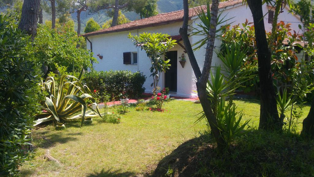La Corte Delle Rose B&B Praia a Mare Exterior photo