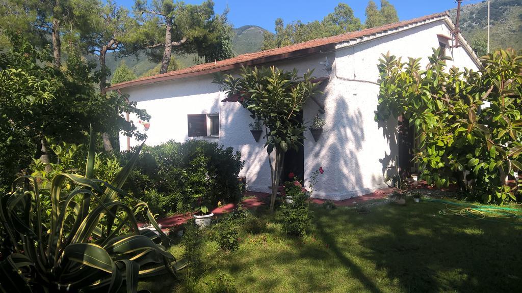 La Corte Delle Rose B&B Praia a Mare Exterior photo