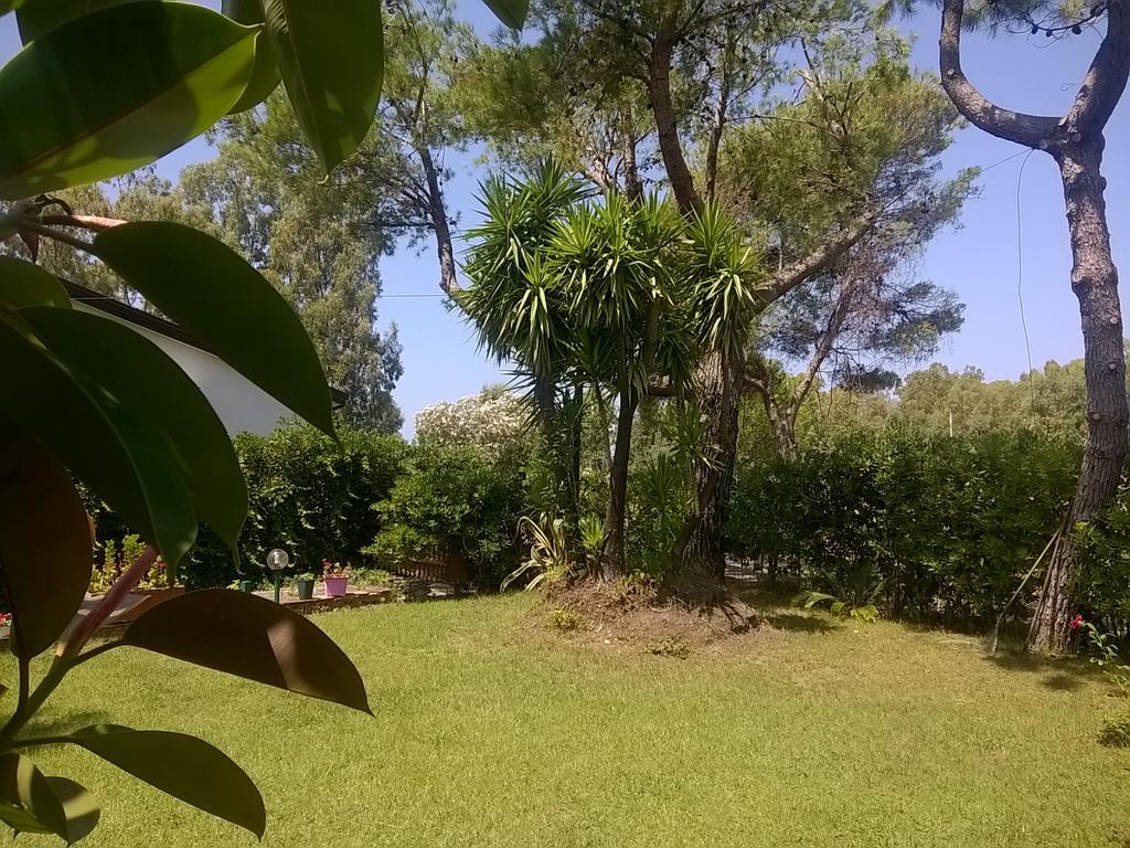 La Corte Delle Rose B&B Praia a Mare Exterior photo