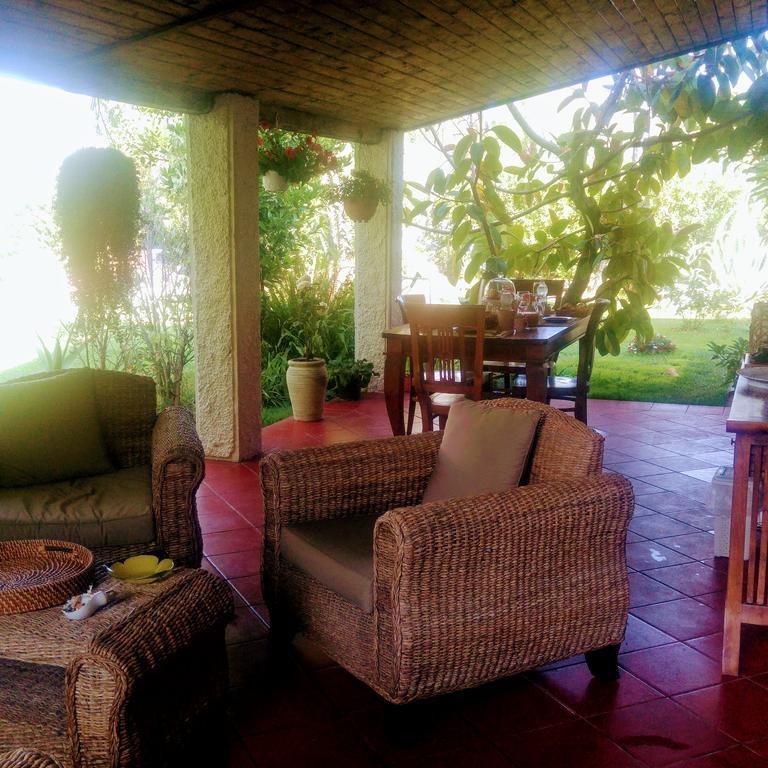 La Corte Delle Rose B&B Praia a Mare Exterior photo