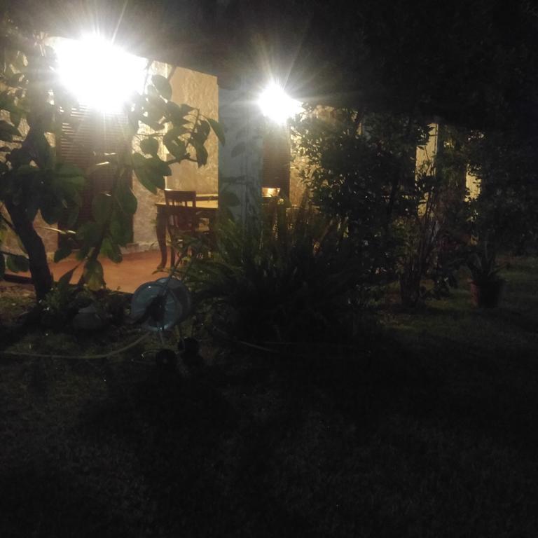 La Corte Delle Rose B&B Praia a Mare Exterior photo